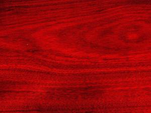 Blood Wood