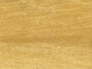 Limba